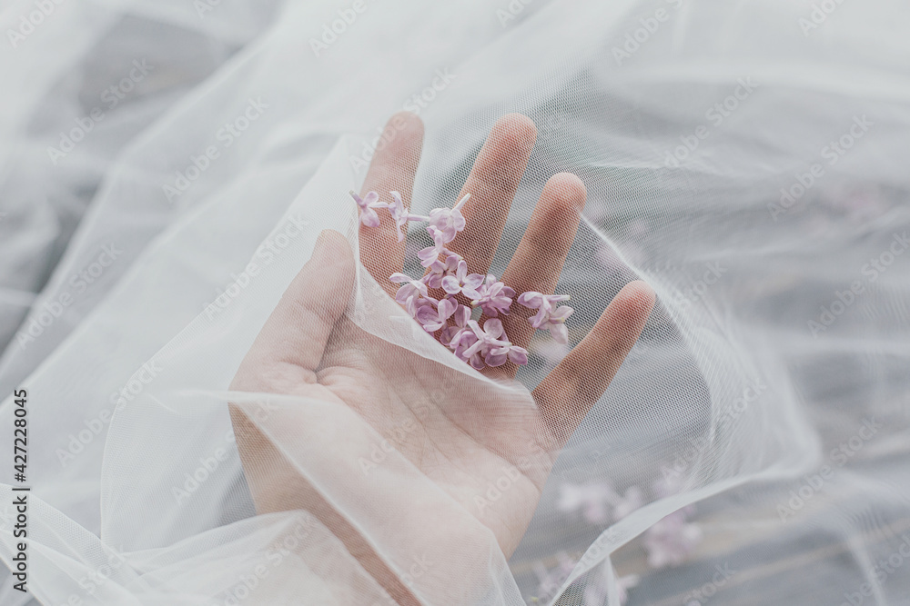 Hand gently holding beautiful lilac petals under soft tulle on dark wood. Tender spring aesthetic