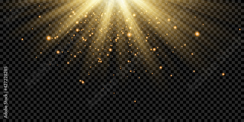 Light flare special effect with rays of light and magic sparkles. Glow transparent vector light effect set, explosion, glitter, spark, sun flash. Vector illustration. photo