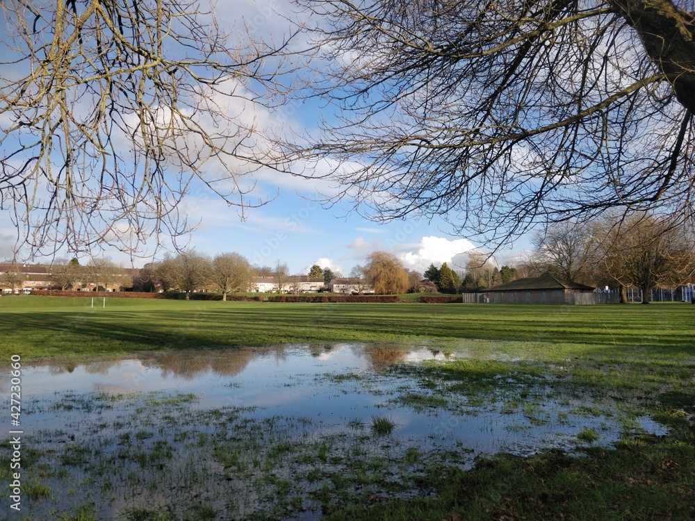 Obraz premium Spring in the park