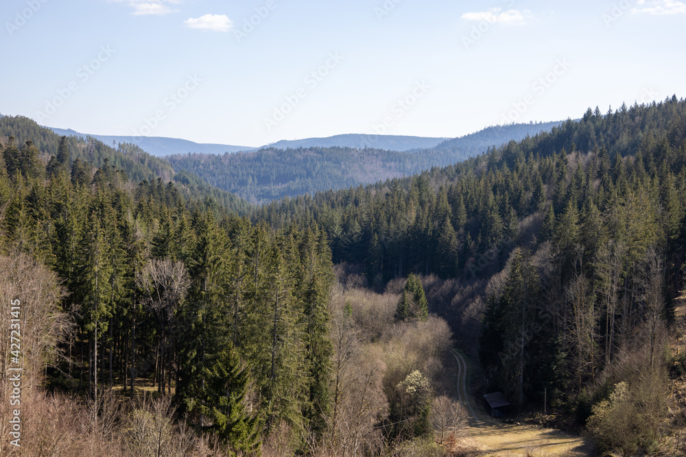Ausblick im Schwarzwald mit wunderschöner Natur
