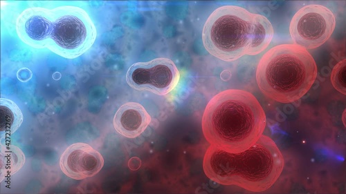 Abstract biological background, 3D loop animation of many cells in the body. Animation for medical, scientific, advertising, and educational purposes. Desktop background.