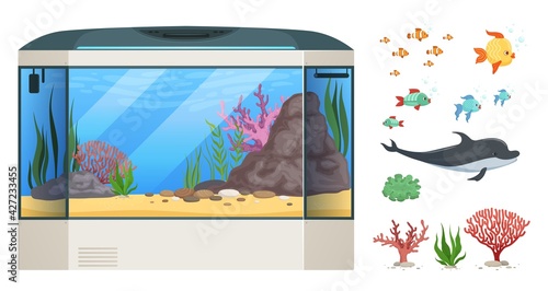 Aquarium. Cartoon fish, seaweed or water plants. Empty glass cube for sea animals, underwater vector set