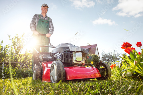 Obraz na plátně Man with a lawn mower in a sunny garden