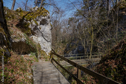  Kehlengrabenschlucht in Hofstetten in der Nähe von Basel photo