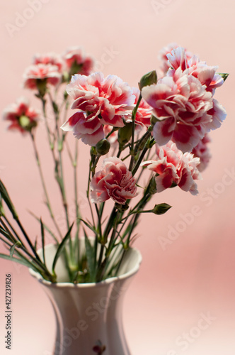 Wallpaper Mural A bouquet of spray carnations in a vase on a pink background. Bouquet of flowers close-up. Torontodigital.ca
