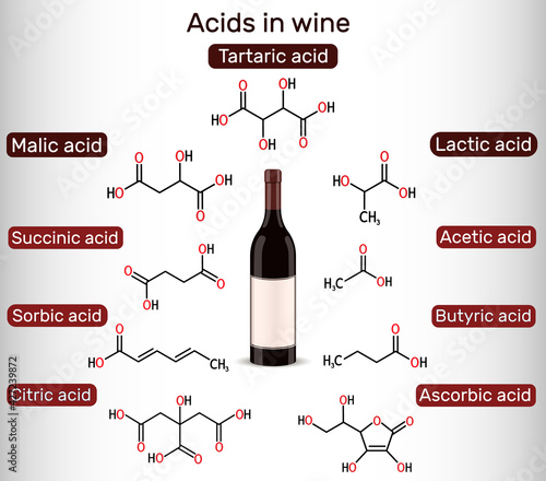 Acids in wine. Tartaric, malic, lactic, citric, acetic, ascorbic, butyric, sorbic, succinic acid. Skeletal chemical formulas