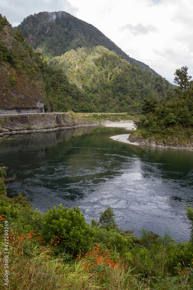 View of the Buller River Valley in New Zealand