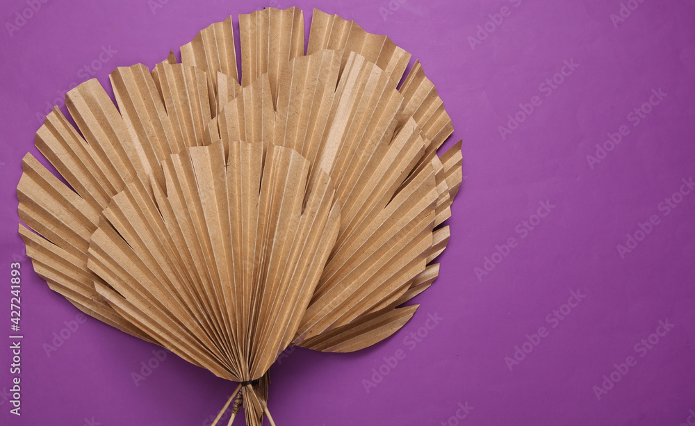 Decor dry palm leaves on a purple background. Creative background.