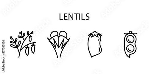 Lentil Line Icon In A Simple Style. A set of vector icons in a simple style, isolated on a white background. 64x64 pixel