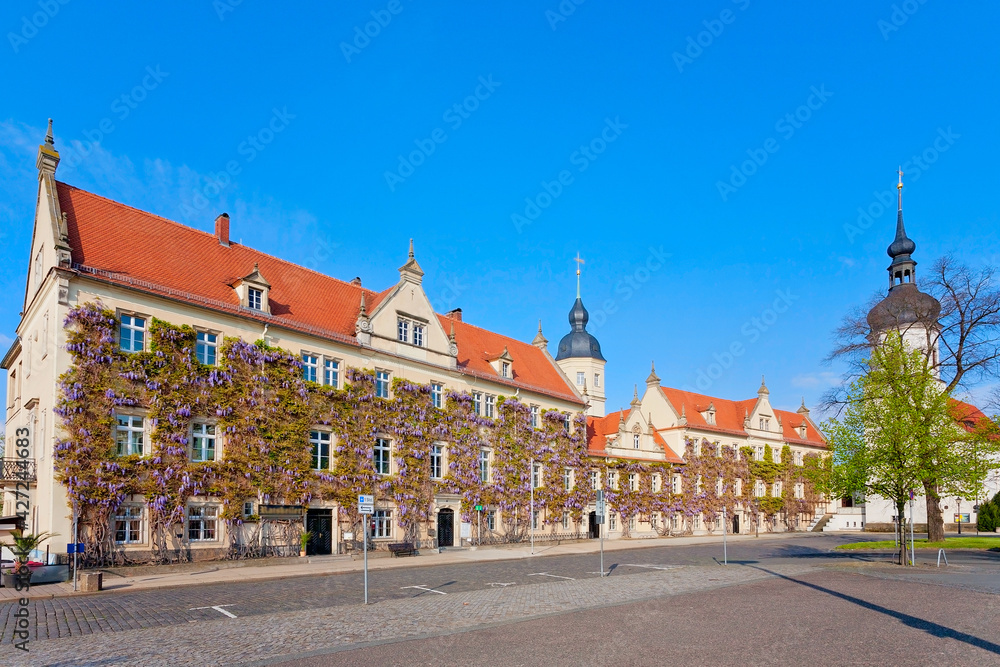 Rathaus in Riesa, Sachsen, Deutschland - obrazy, fototapety, plakaty 