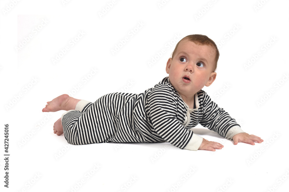 baby crawling on the floor looking up on white background baby crawling on the floor looking up on white background