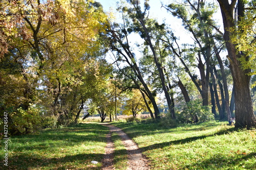 Place for walking, jogging. The park