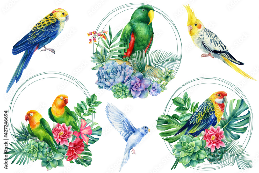 Tropical summer composition with birds, palm leaves and exotic flowers. watercolor parrots on isolated white background