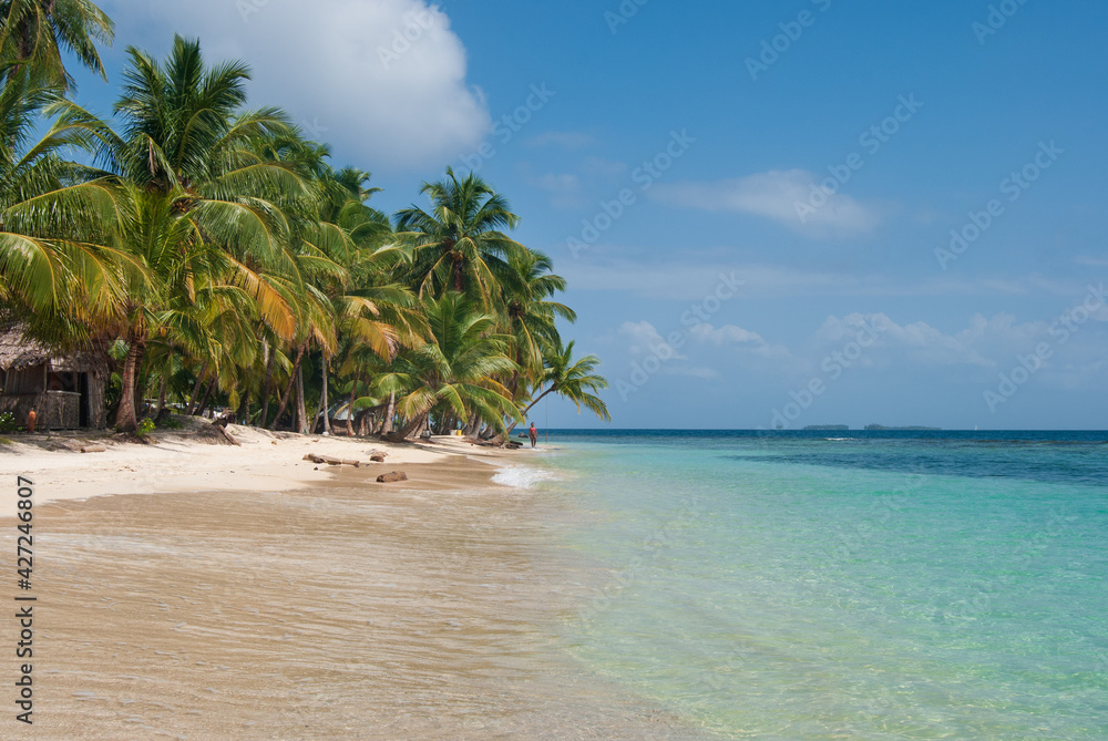 Palm trees on a tropical beach with crystal clear water to relax