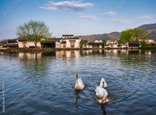 The Chinese Hui style buildings by the river. Some goose swim in the river. photo