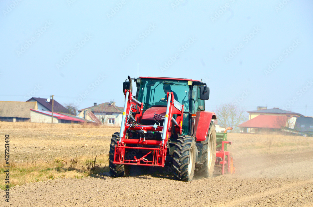 Fototapeta premium Siew zboża w polsce