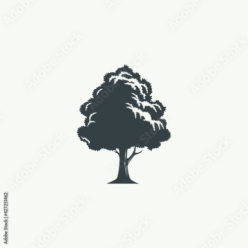 a unique tree vector inspired by a tree that I met in nature.