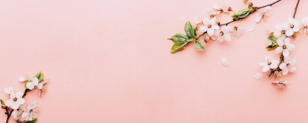Spring background pink with flower blossom and April floral nature in beautiful scene with blooming tree. Easter Sunny day. Orchard abstract blurred background. Springtime.