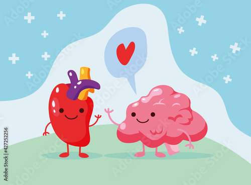 heart and brain