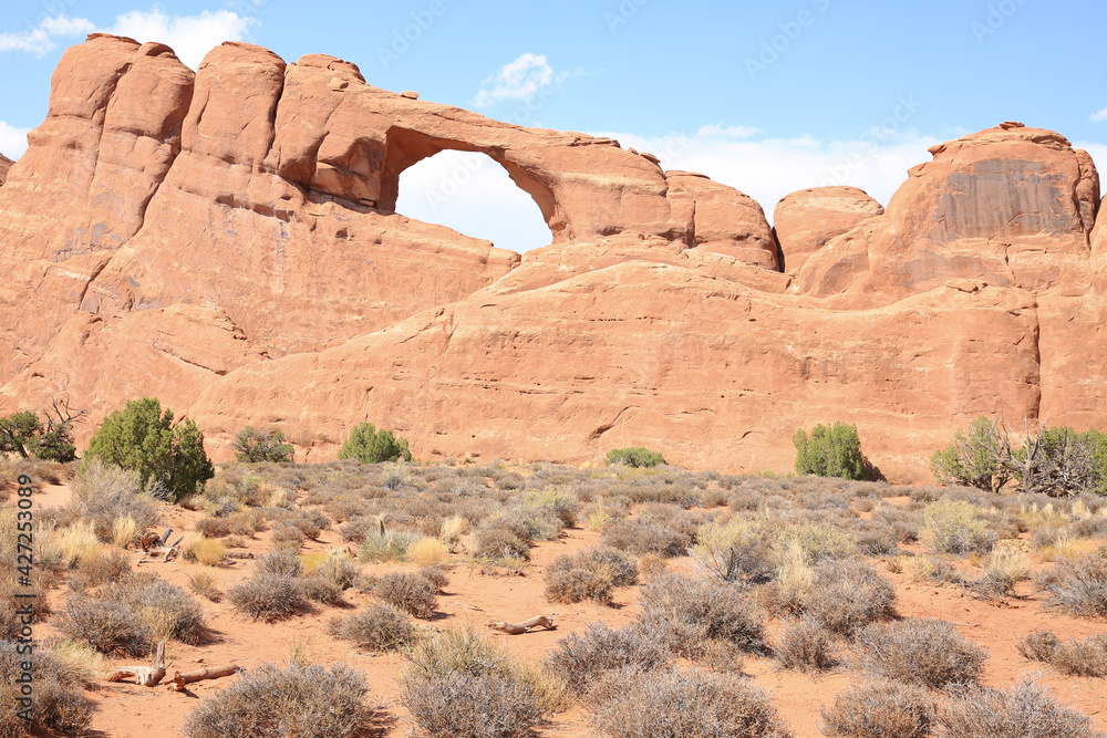 Fototapeta premium Arches National Park in Utah, USA