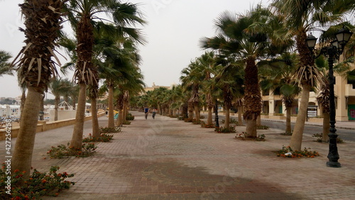 Palm trees on the street. People walking on the beach. Walk in the desert on a cloudy day. Woman and man riding a bike on the road. Scenic dark background with seafront.