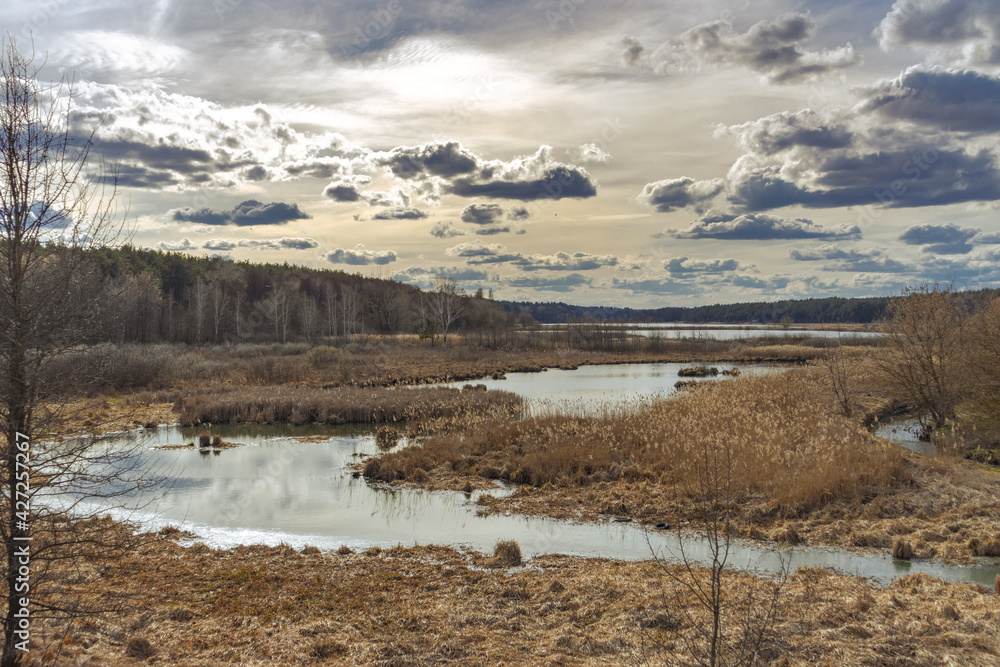 The lake is surrounded by dry reeds and forest on both sides. A small river under a cloudy sky The lake is surrounded by dry reeds and forest on both sides. A small river under a cloudy sky