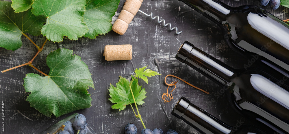 Red Wine composition on black stone chalk board table. Top view. Red wine bottles grapes, grape bunches leaves and vines corkscrew corks wine on dark rustic concrete background. Long web banner. Red Wine composition on black stone chalk board table. Top view. Red wine bottles grapes, grape bunches leaves and vines corkscrew corks wine on dark rustic concrete background. Long web banner.