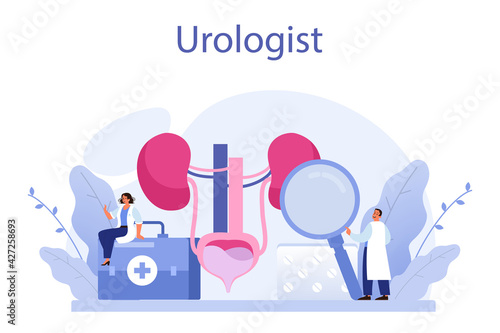 Urologist concept. Idea of kidney and bladder treatment, hospital care.