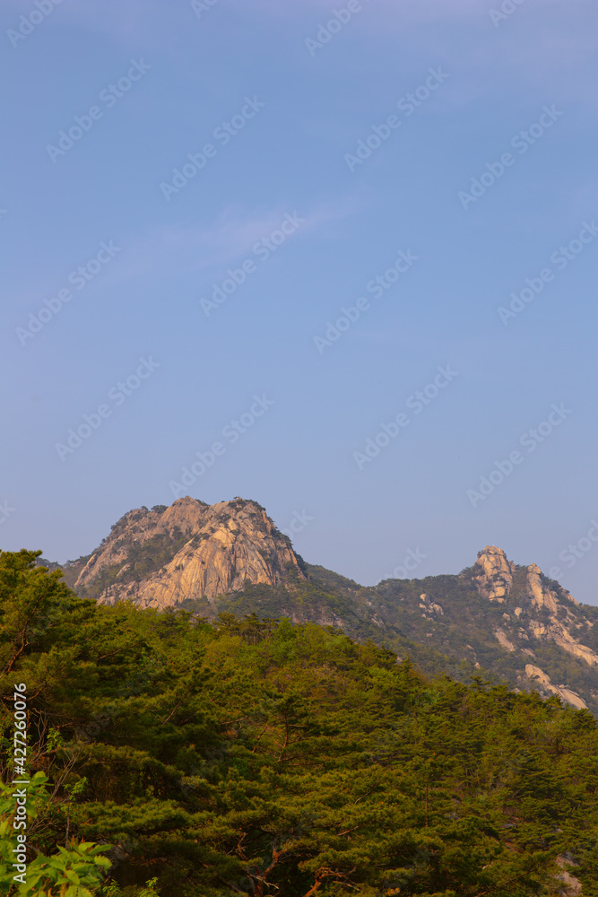 Obraz premium view of the mountains