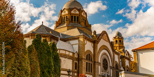Quadro em tela Novi Sad Synagogue in Serbia