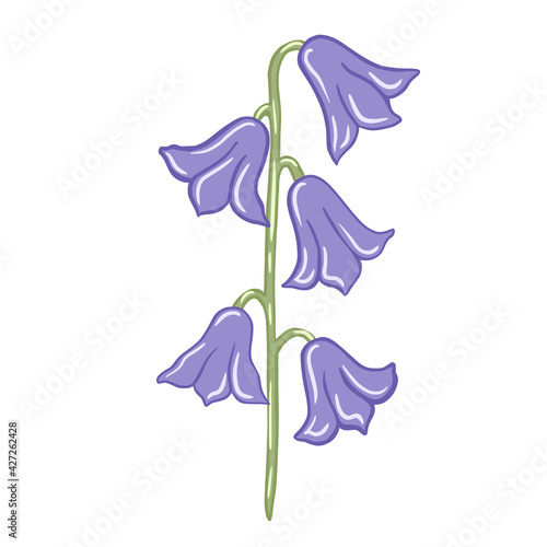 Purple bluebells isolated on white background. Beautiful hand drawn botanical sketches for any purpose.