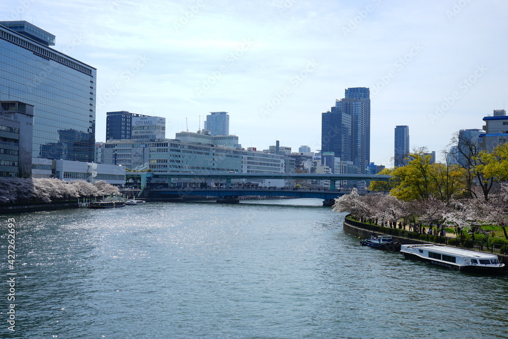 Osaka skyline along with O river (Okawa) with cherry blossoms and tourist boat ride in Japan - 大川沿いのビル群 春の桜 大阪 日本