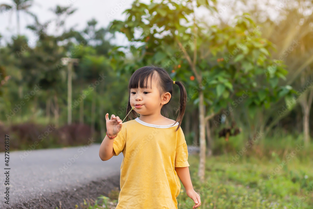 Portrait image of 2-3 years old toddler baby. Happy Asian child girl blow a dandelion at the forest or park flowers field. Summer or spring season. Portrait image of 2-3 years old toddler baby. Happy Asian child girl blow a dandelion at the forest or park flowers field. Summer or spring season.