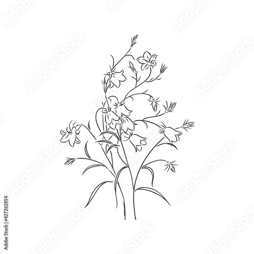 Fototapeta Naklejka Na Ścianę i Meble -  Ink, pencil, the leaves and flowers of Magnolia isolated. Line art transparent background. Hand drawn nature painting. Freehand sketching illustration.