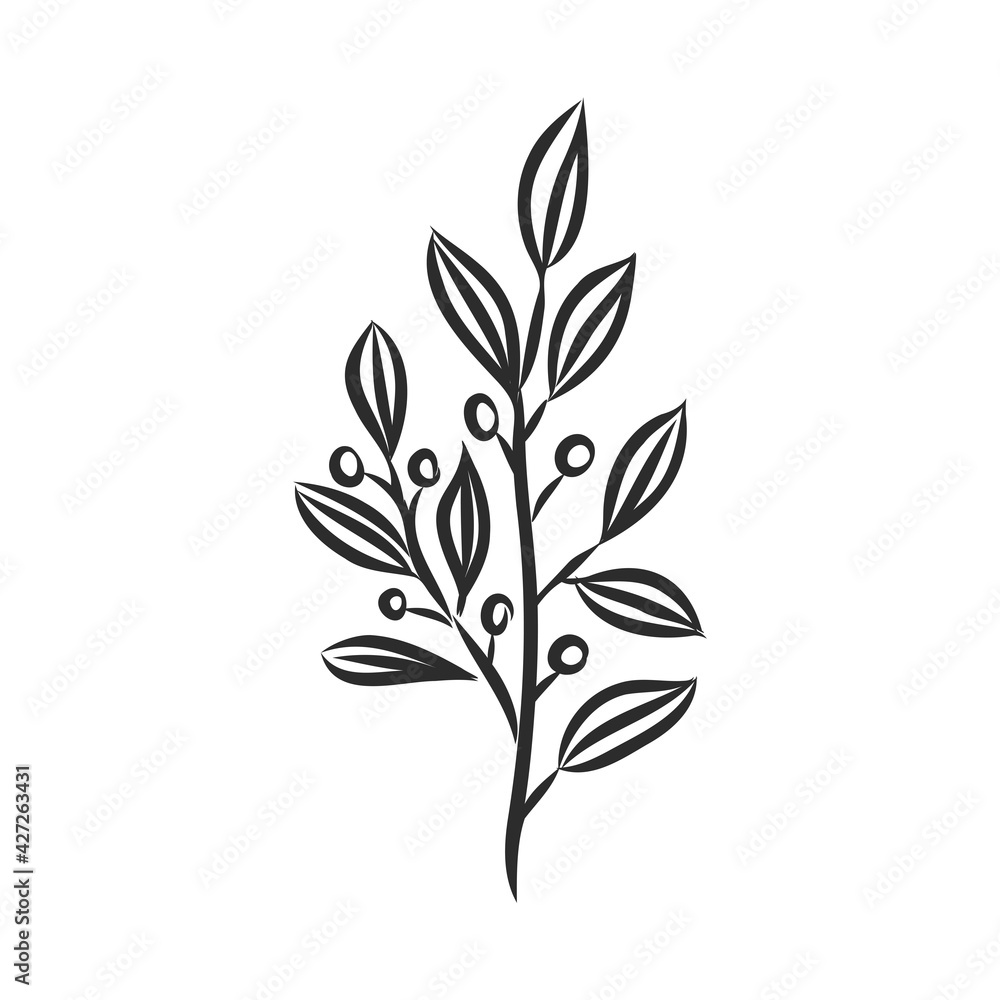 Ink, pencil, the leaves and flowers of Magnolia isolated. Line art transparent background. Hand drawn nature painting. Freehand sketching illustration.