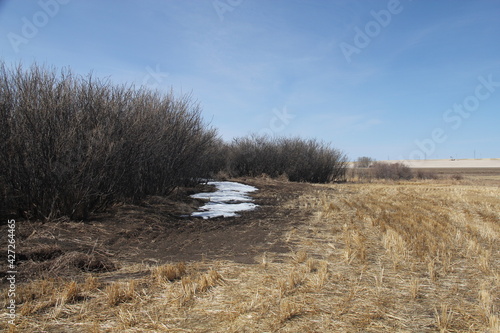 Wallpaper Mural Waiting for Spring Torontodigital.ca