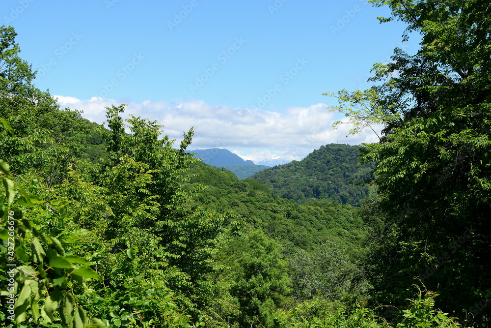 high blue sky with rare clouds. high mountains with green trees