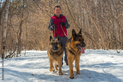 A man walks in the woods with two dogs