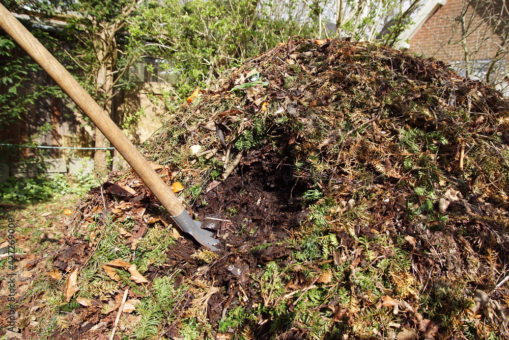 A garden shovel in the compost heap to dig up compost for the garden. Spring, April, Netherland A garden shovel in the compost heap to dig up compost for the garden. Spring, April, Netherland