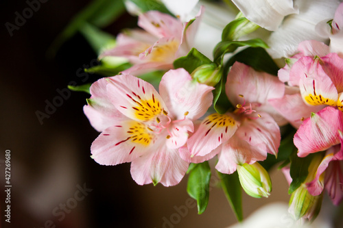 delicate bouquet of pink alstroemeria, Inca lilies in a bouquet