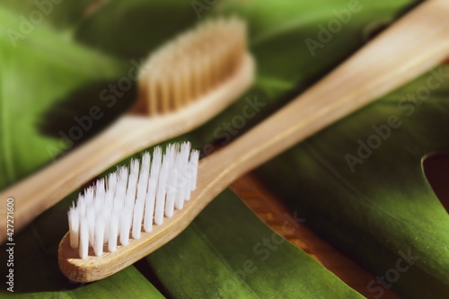 Natural bamboo toothbrushes on a green leaf background. Say no to plastic concept  zero waste  sustainable lifestyle. Trendy muted colors