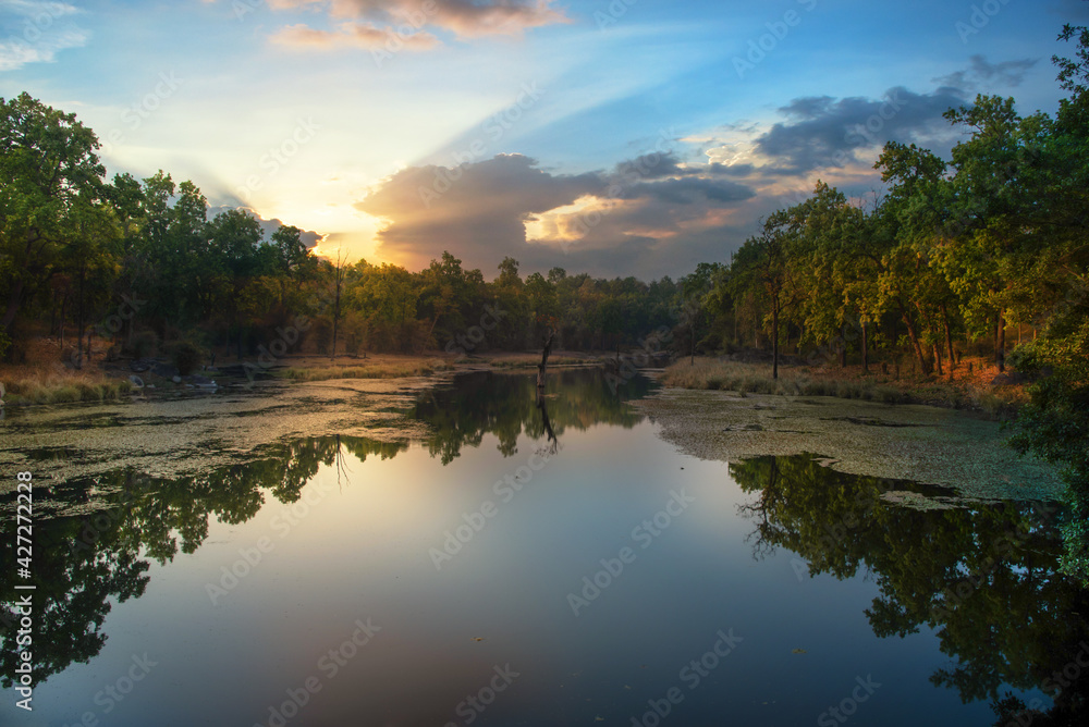 Sunset over the lake in the forest. Selective focus. Beautiful nature. Sunset over the lake in the forest. Selective focus. Beautiful nature.