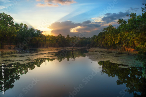 Sunset over the lake in the forest. Selective focus. Beautiful nature.