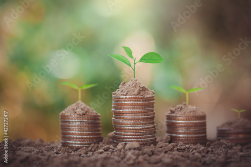 Coins stacking with soil and tree on top to show concept saving money, educational, home, loan and business investment on bokeh background.