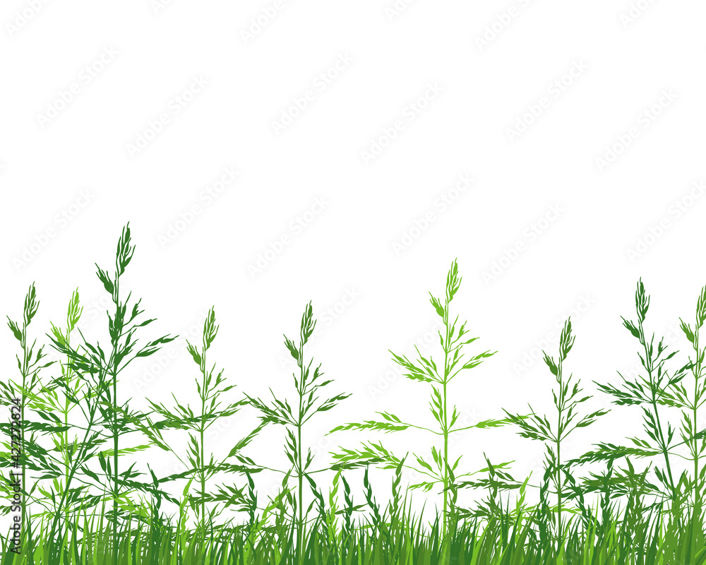 Obraz premium Green Grass Meadow