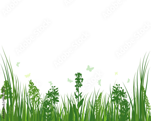 Green Grass Meadow