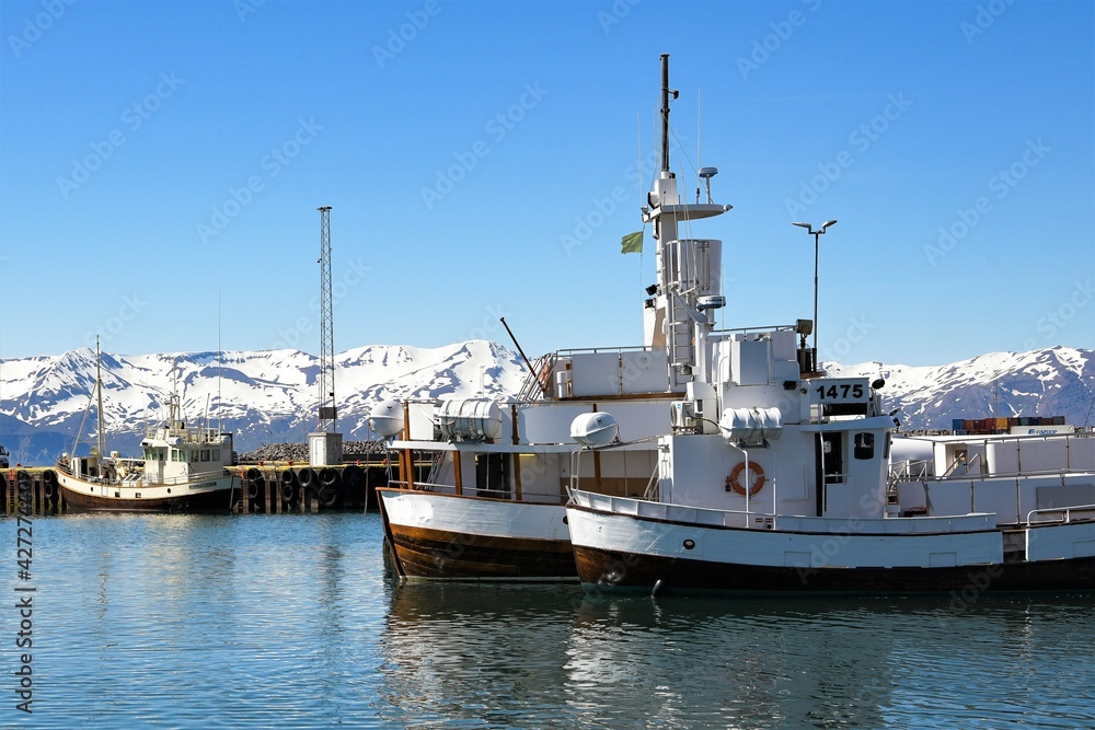 Bereit zum Auslaufen - Schiffe für Whale watching Tours im malerischen Hafen des Ortes Husavik vor schneebedeckten Bergen , Island