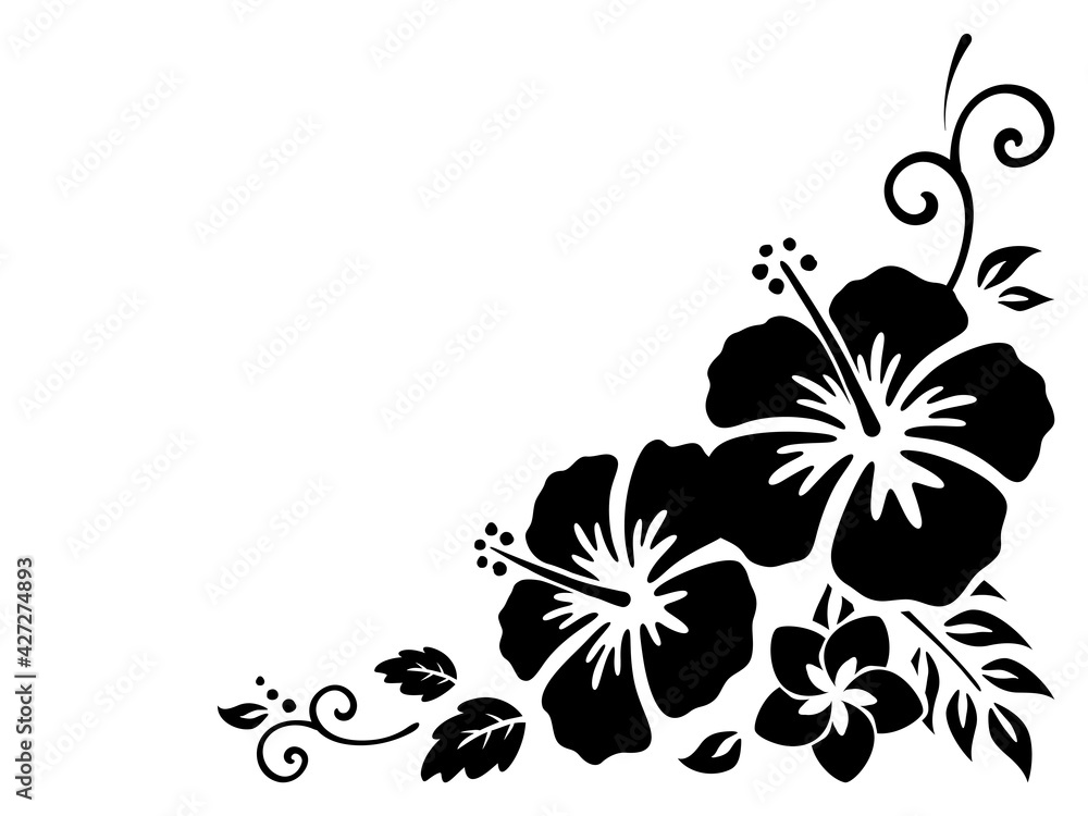 ハイビスカスの飾り枠 トライバル イラスト素材 Stock Vector Adobe Stock ハイビスカスの飾り枠 トライバル イラスト素材 Stock Vector Adobe Stock