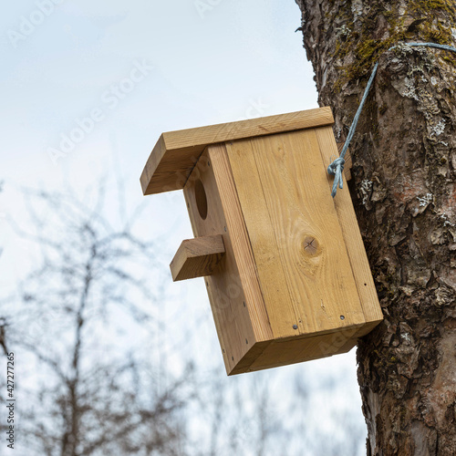 Birdhouse on fruit tree at springtime.
