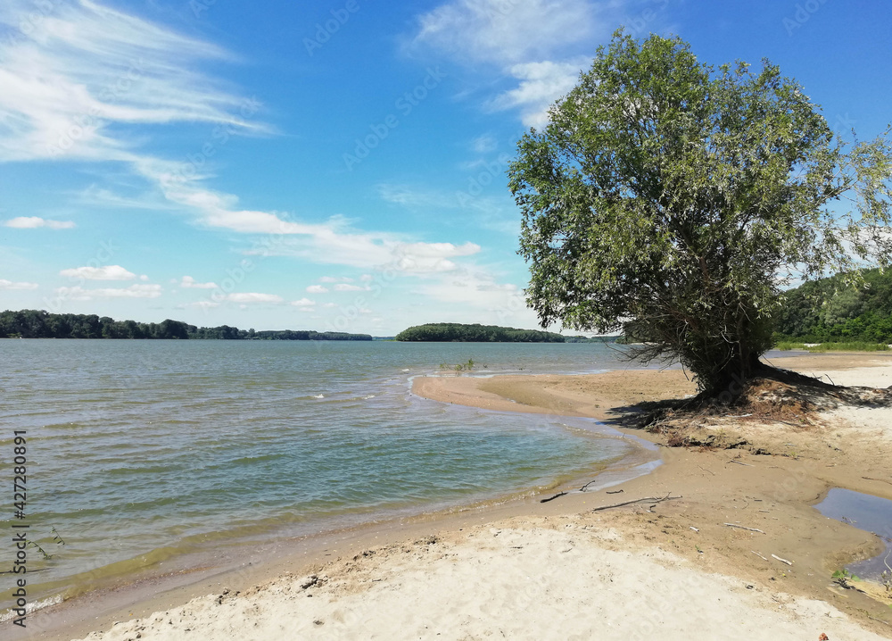 Beautiful large wild beach in Romania on the Danube. Secluded beach, willow vegetation on the shore, a great place for swimming. Beautiful large wild beach in Romania on the Danube. Secluded beach, willow vegetation on the shore, a great place for swimming.